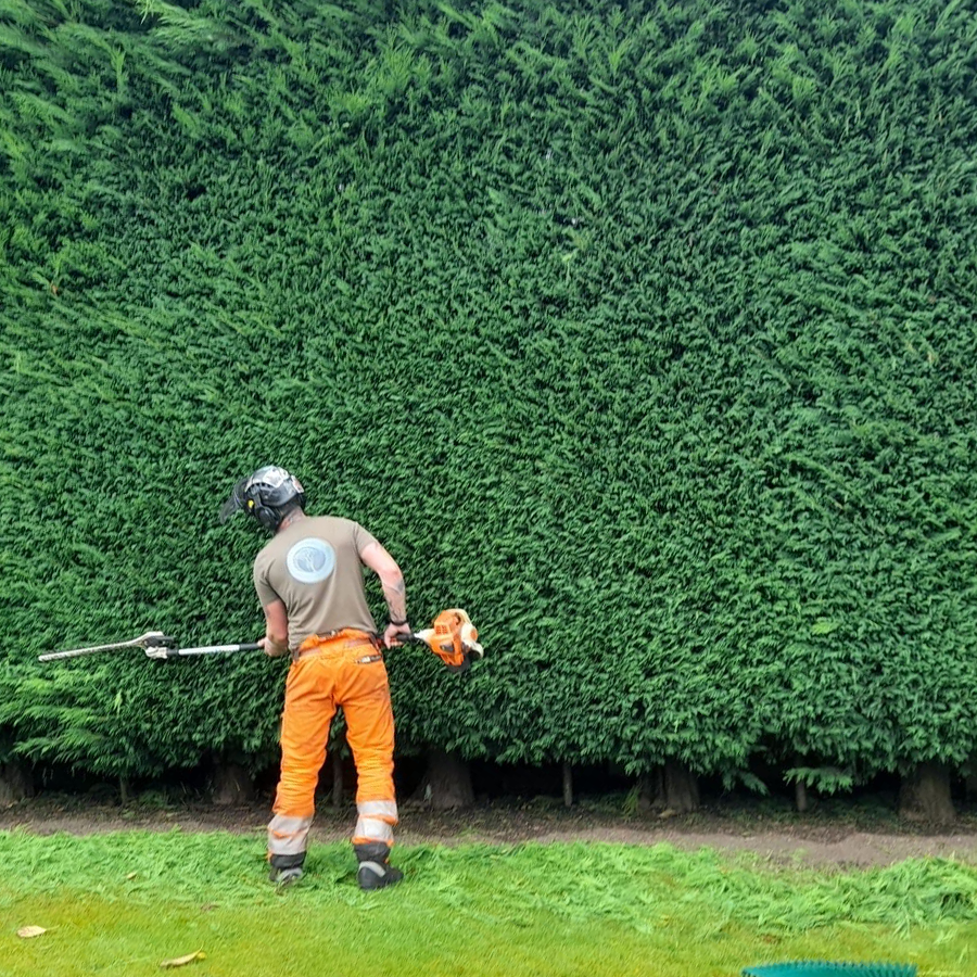 Domestic Hedge Maintenance