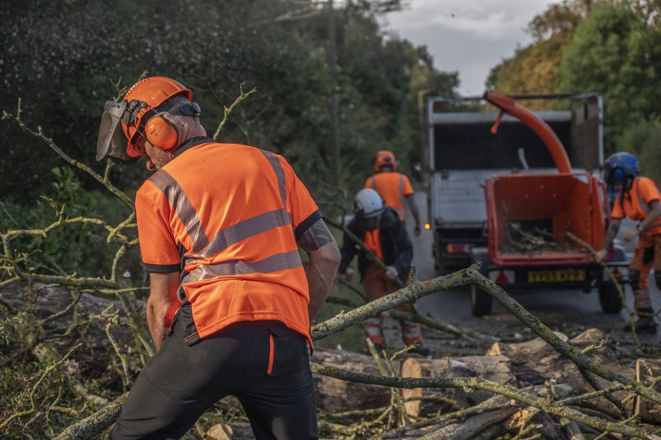 Planning Tree Work on a Busy Commercial Site | Doncaster